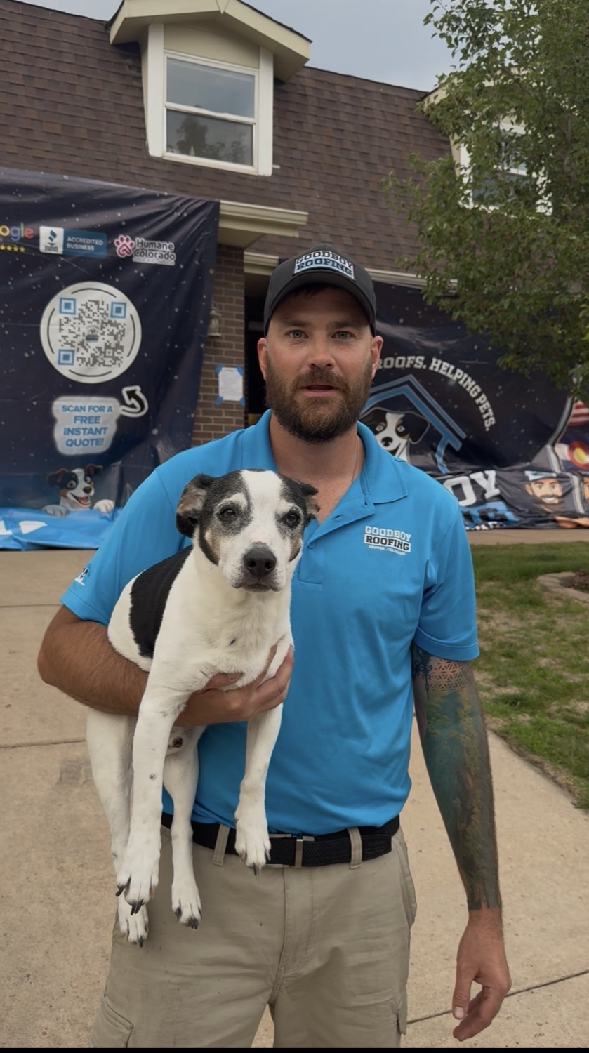 A GoodBoy Roofing team member holding a rescue dog in a company shirt